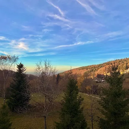 Schwarzwaldmarie